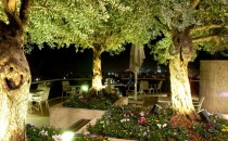 Prima Galil TIB